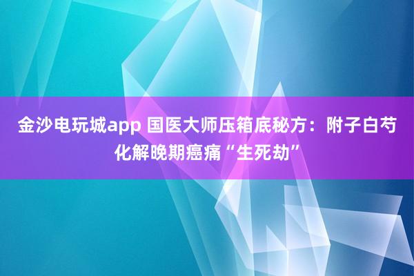 金沙電玩城app 國(guó)醫(yī)大師壓箱底秘方：附子白芍化解晚期癌痛“生死劫”