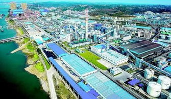 面對 世界500強 巨頭,湖北省省長王曉東講了幾個故事