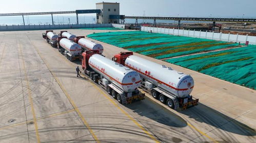 大陸_齊魯網(wǎng)